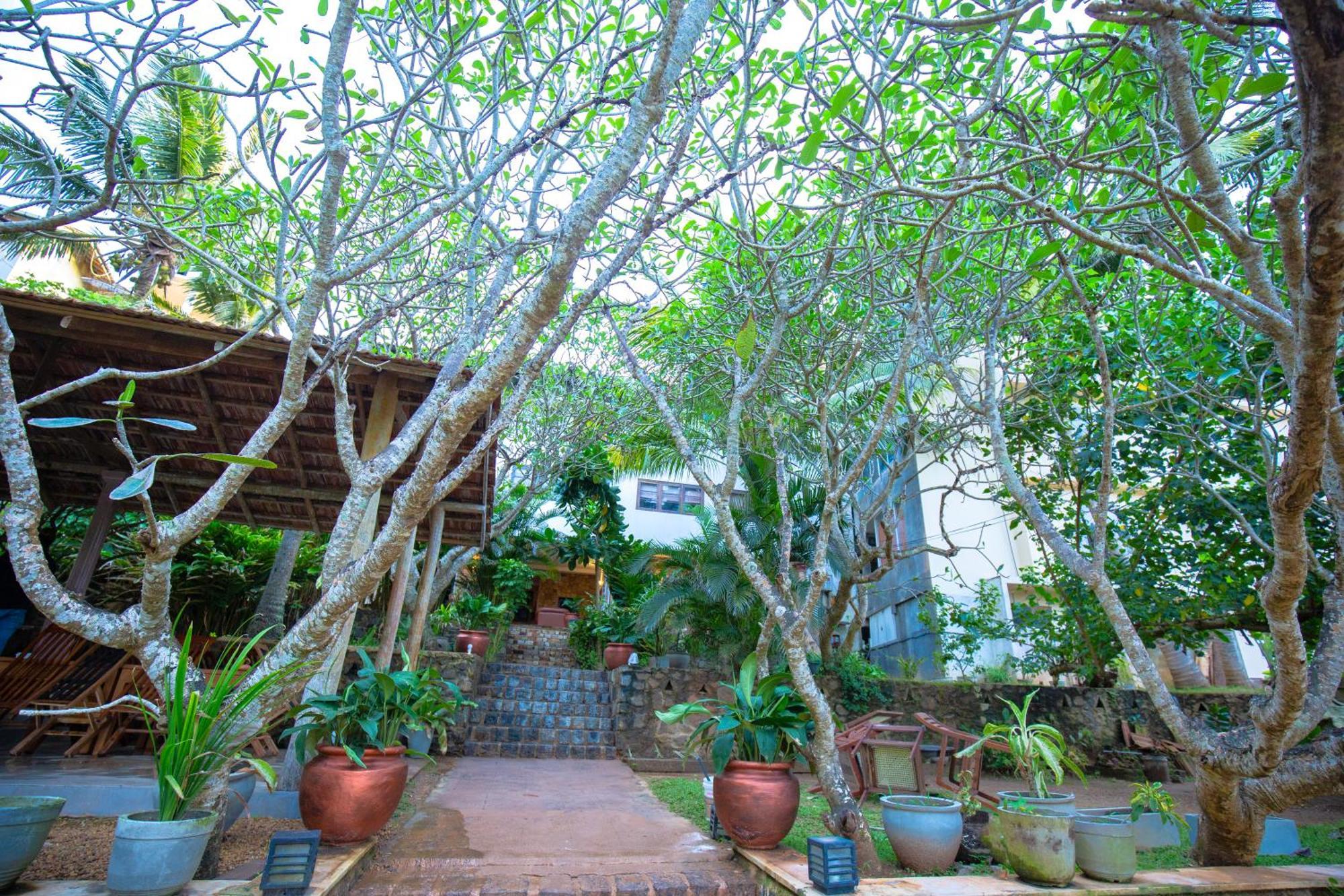 Hotel Zeilan Sunset Point Unawatuna Extérieur photo